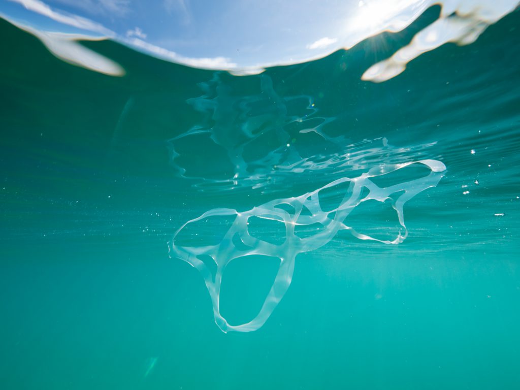 6 pack ring underwater plastic ocean plastica