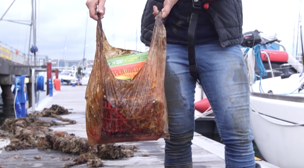 sacchetti buste bioegradabili esperimento università plymouth plastica