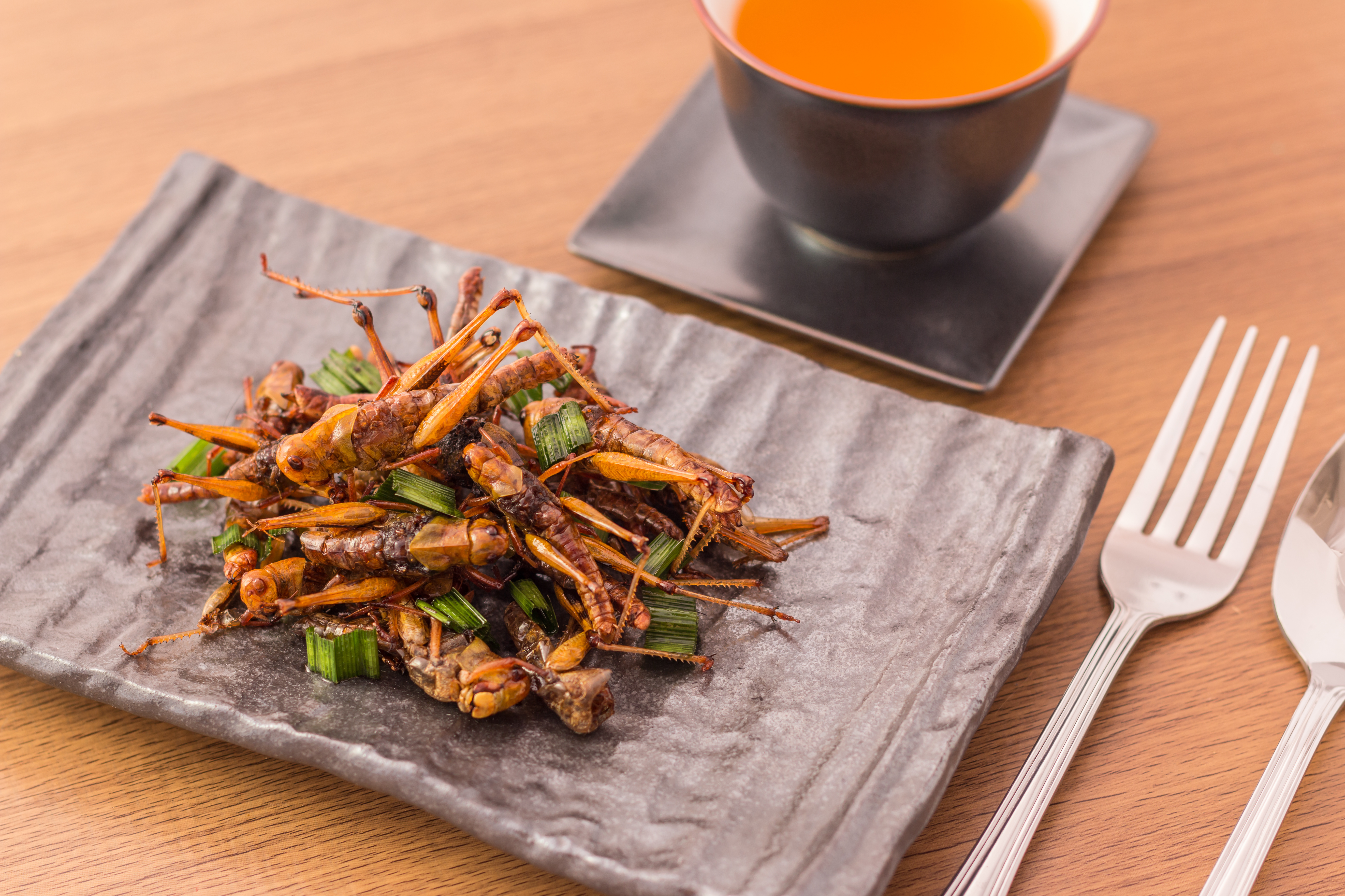 Fried insects