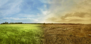 Immagine divisa a metà: a sinistra prato verde con cielo azzurro, a destra terra arida con cielo inquinato; concept: inquinamento, cambiamento climatico, greenwashing