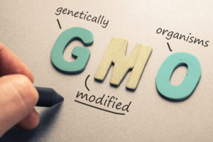 Scritta GMO, genetically modified organism; Ogm