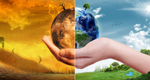 pianeta mano metà distruzione sostenibilità