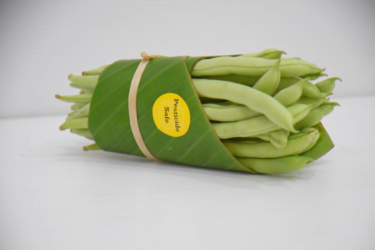 banano imballaggio plastic free packaging