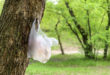 sacchetto plastica albero giardino