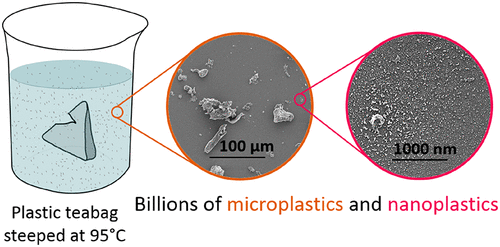 microplastiche nanoplastiche bustine te