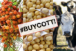 petizione olio di palma soia ogm carni americane #buycott