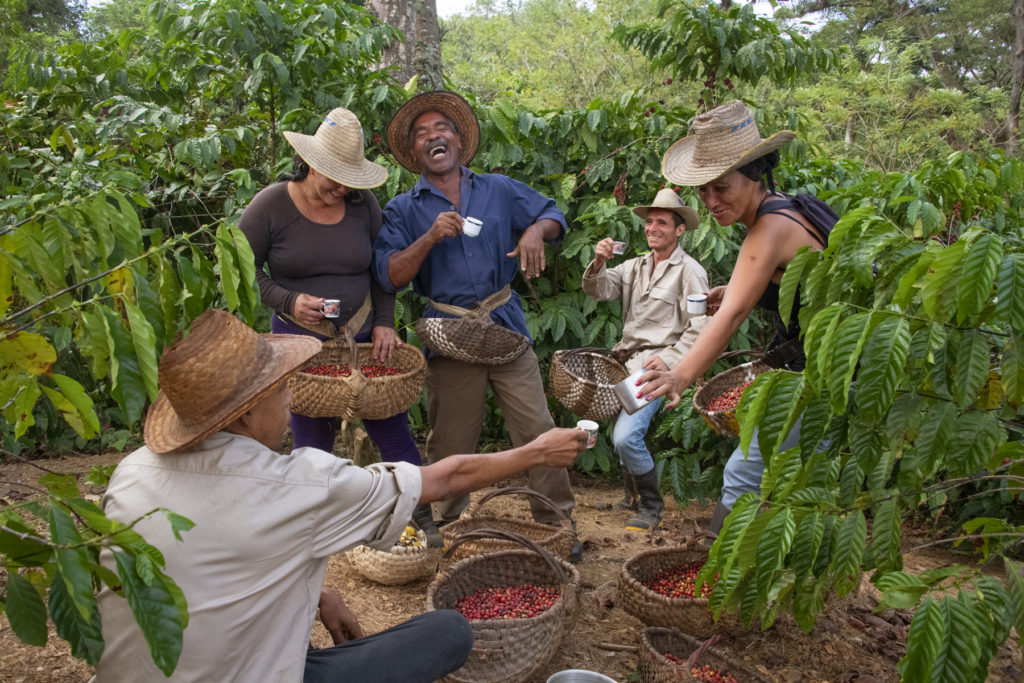 agricoltori caffe lavazza cuba piantagione