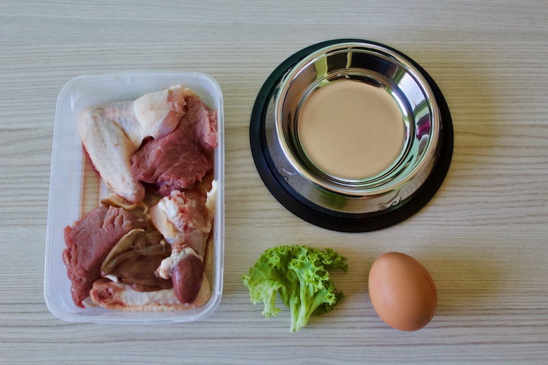 dieta crudista, carne cruda verdura, uovo e ciotola per animali domestici