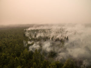 Forest Fires Investigation in PT GAL, Central Kalimantan