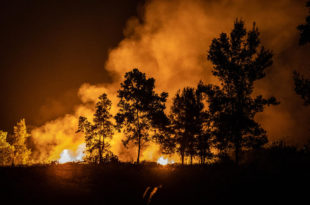 Forest Fires in Jekan Raya, Central Kalimantan