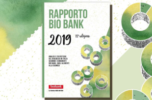 rapporto bio bank 2019 edizione 13