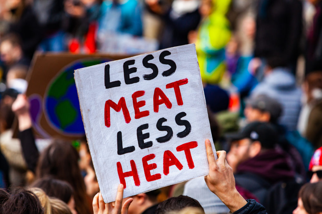 Homemade poster at ecological protest. A close-up shot of a homemade poster, saying less meat less heat, being held above a crowded street of environmental demonstrators.