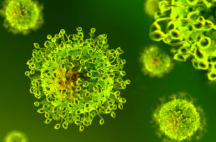 Virus, Coronavirus , epidemia