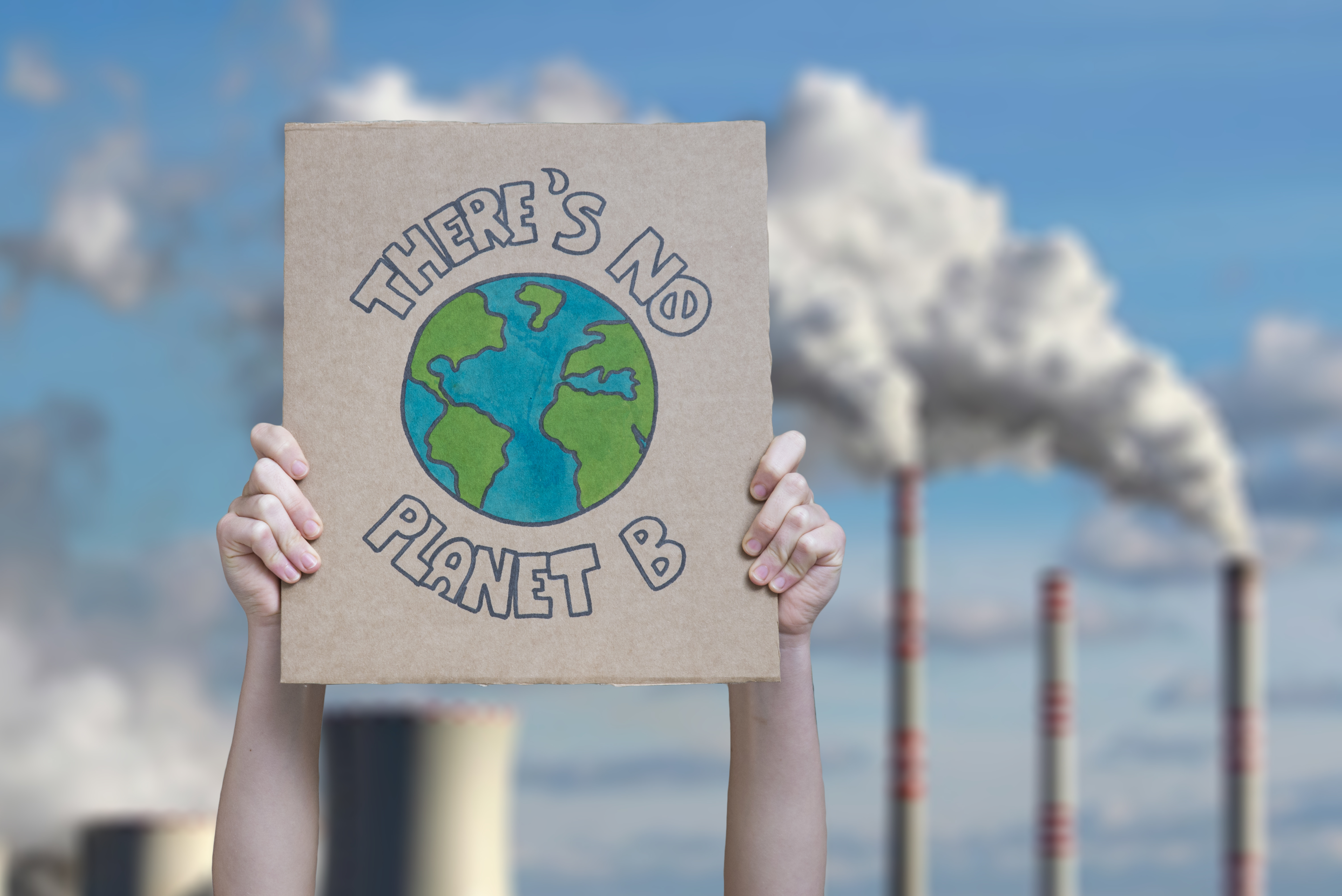 Cartello "There's no planet B", manifestazione contro il cambiamento climatico