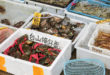 Chinese typical fish and living animals market