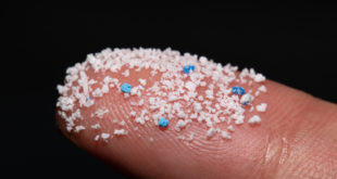Micro plastic.Small Plastic pellets on the finger. microplastiche frammenti plastica