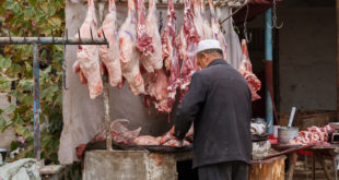 Venditore di carne in un mercato locale, banco con pezzi di carne appesi all'aperto; concept bushmeat, wet market