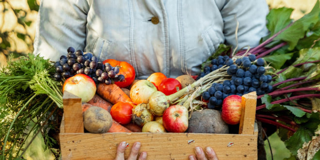 Pesticidi: frutta e verdura entro i limiti di legge, ma c’è ancora molto da chiarire