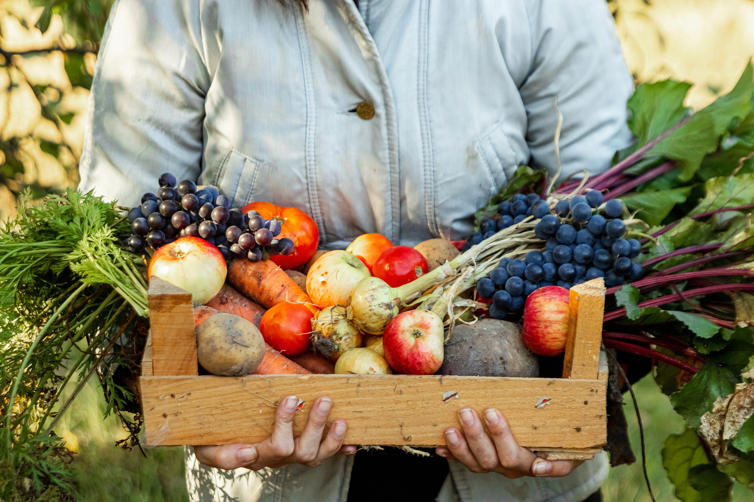 Busto che regge una cassetta di legno piena di frutta e verdura; Concept: Agricoltura sociale