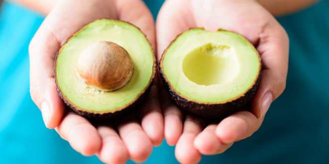 Half avocado fruit holding by hand, healthy fruit
