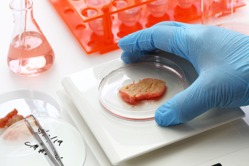 cultured meat making image, lab grown meat concept