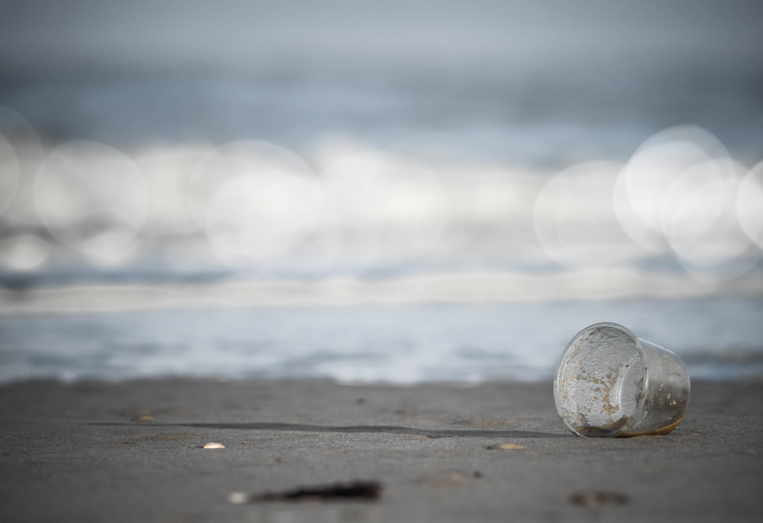Rifiuti di plastica sul bagnasciuga di una spiaggia; concept: rifiuti marini, mare