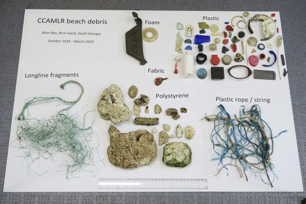 rifiuti plastica oceano antartico studio