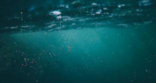 microplastics floating in ocean water, micro plastic pollution