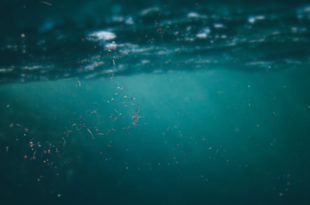 microplastics floating in ocean water, micro plastic pollution