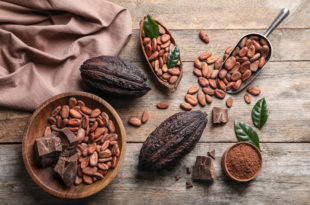 clima, fave di cacao, cioccolato, su tavolo di legno