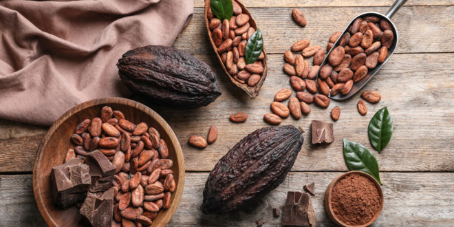 Cacao insostenibile: leggi insufficienti e tracciabilità scarsa