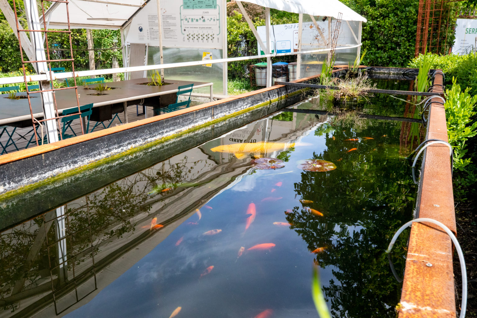 Serre dei Giardini Margherita a Bologna uno spazio verde rigenerato