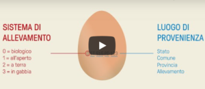 video codici uova istituto zooprofilattico delle venezie