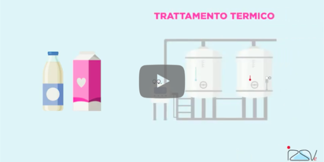video izsve latte trattamento termico