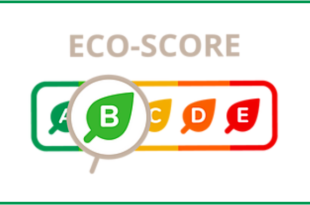 sostenibilità, immagine eco-score francese