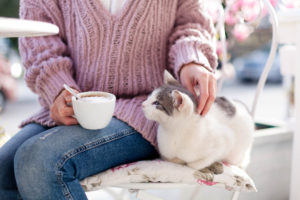 Donna seduta con tazza di cappuccino accarezza un gatto