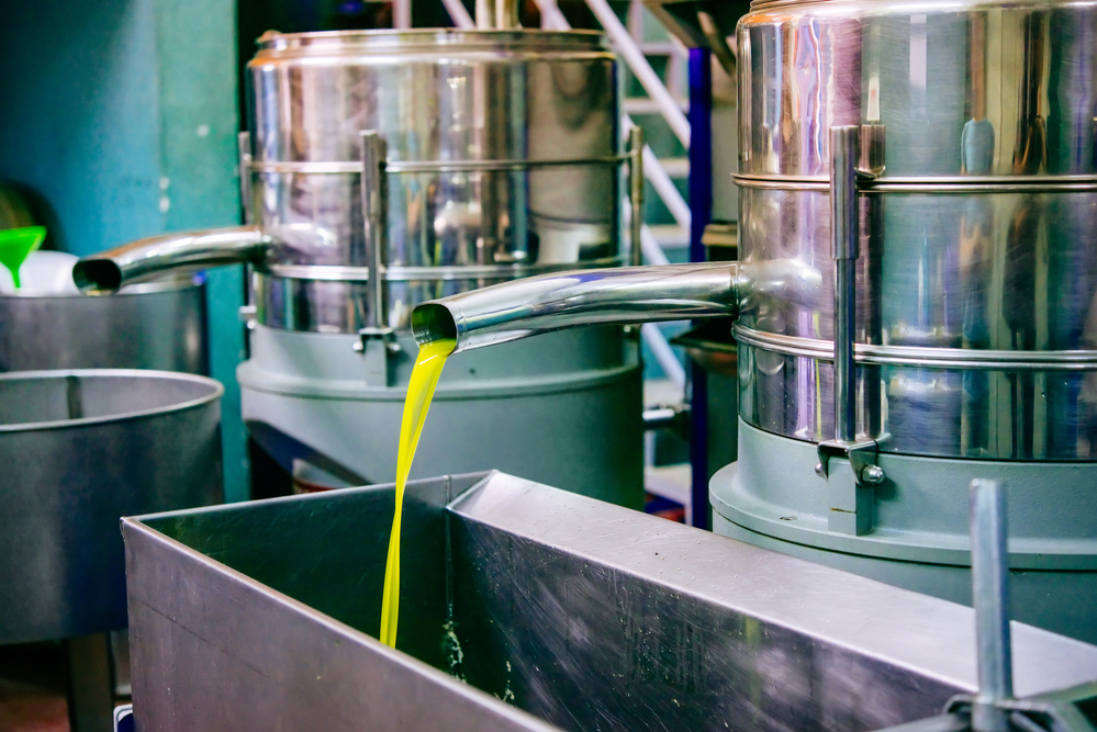 Produzione dell'olio extravergine di oliva in frantoio