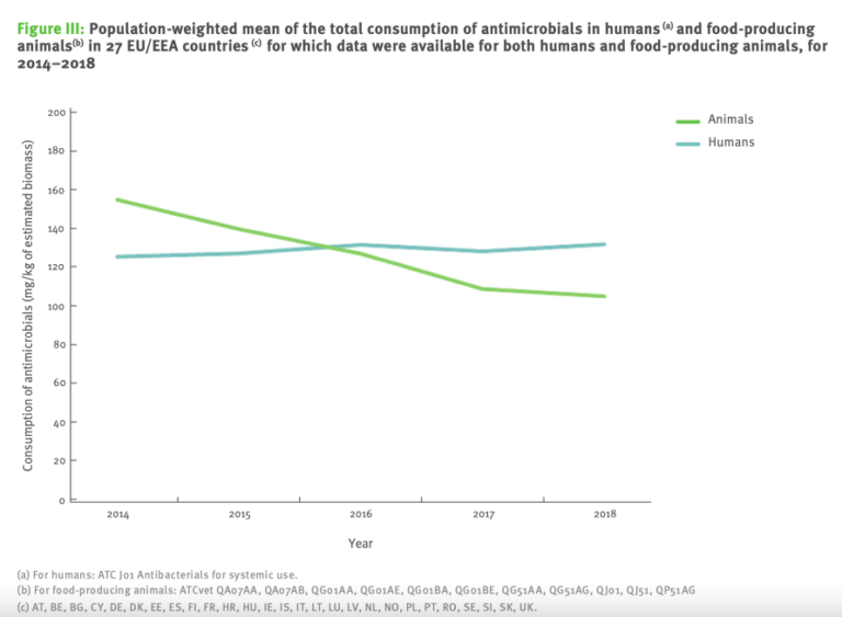 Antibiotici: Cala L'uso Negli Allevamenti Europei. Il Rapporto