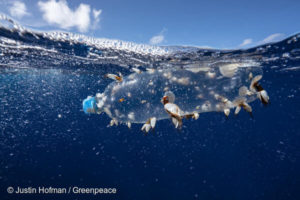plastica, Greenpeace, bottiglia galleggiante