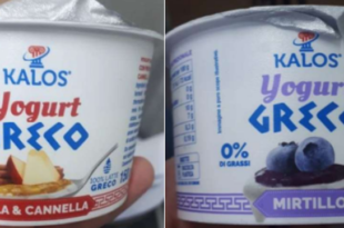 yogurt greco kalos mela:cannella mirtillo