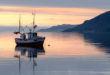 stelle verdi, Fishing boat at sundown in the fjord pesce pesca peschereccio