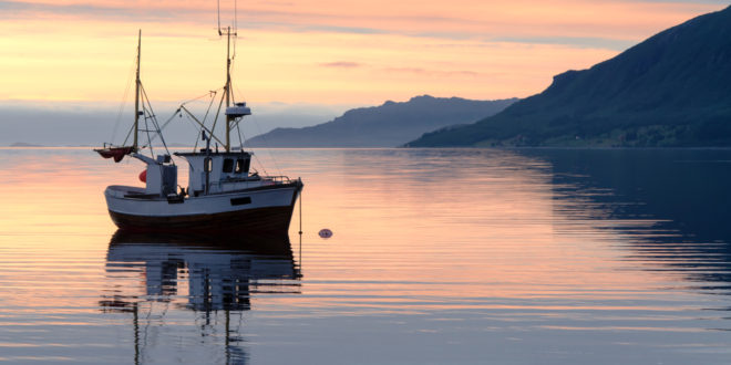 stelle verdi, Fishing boat at sundown in the fjord pesce pesca peschereccio