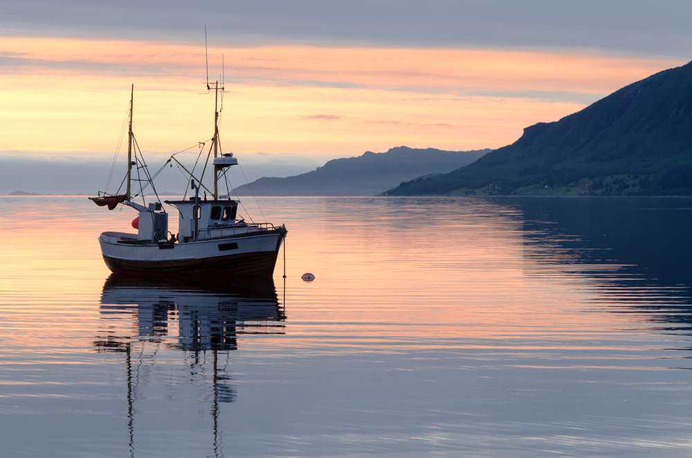 stelle verdi, Fishing boat at sundown in the fjord pesce pesca peschereccio pesca