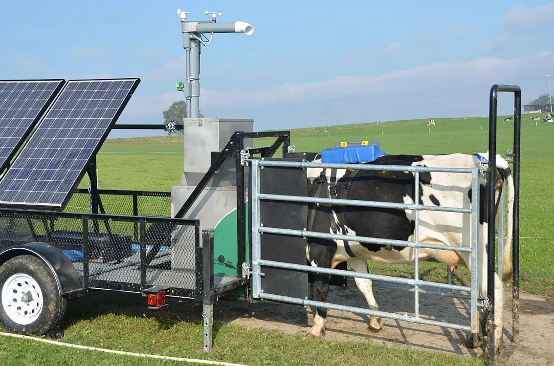 allevamenti, Greenfeed, apparecchio per misurare emissioni di metano del bovino mentre mangia