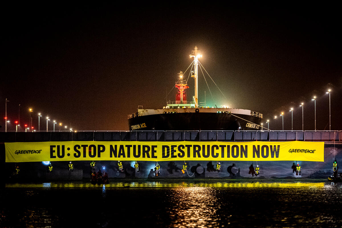 soia, azione blocco nave dal Brasile Greenpeace
