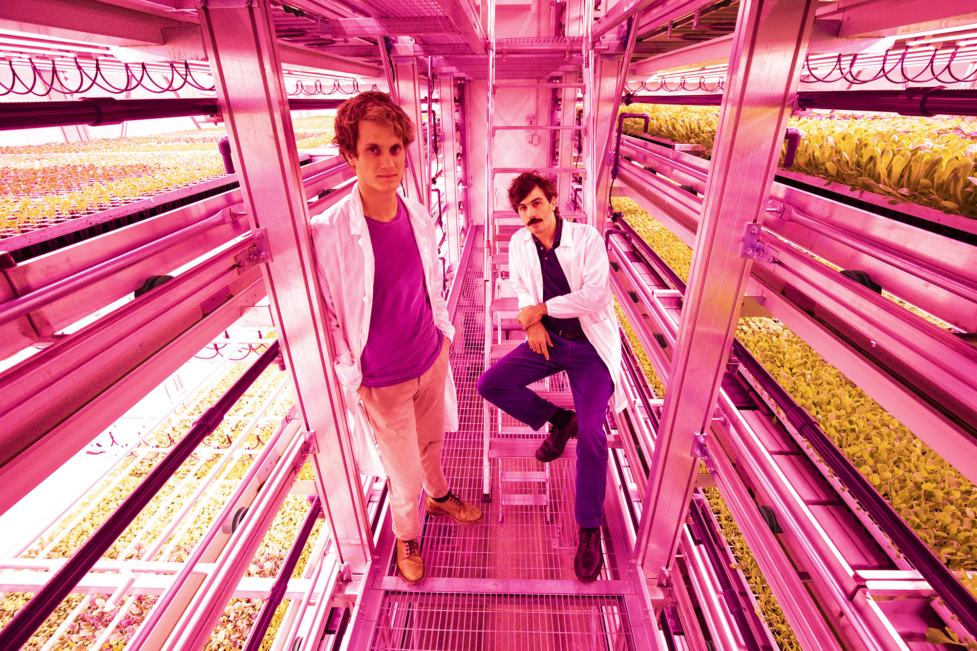 Vertical farm, i due fondatori della vertical farm Agricola Moderna dentro la struttura