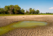 Siccità: Wwf e Greenpeace denunciano il cattivo uso dell’acqua e suggeriscono qualche soluzione