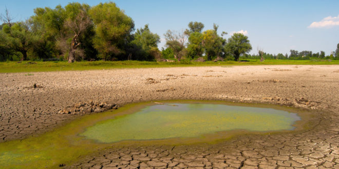 Siccità: Wwf e Greenpeace denunciano il cattivo uso dell’acqua e suggeriscono qualche soluzione