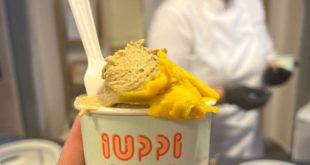 Coppetta di gelato artigianale IUPPI per tutti fatto con baae di legumi fermentaticon cucchiaino bianco, (gusti nocciola e mango?)