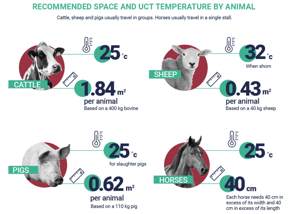 Infografica Efsa trasporto animali